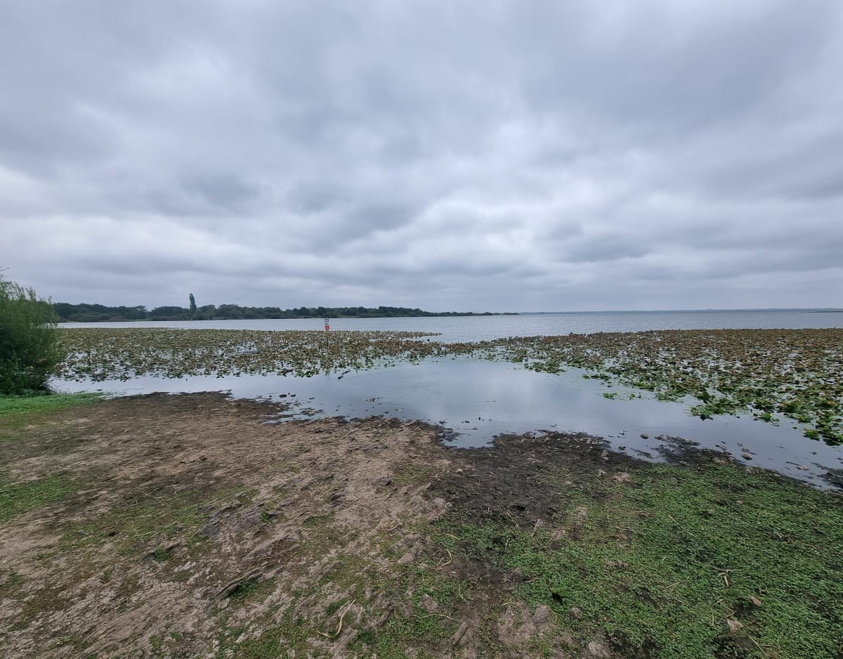 Direction le lac de Grand-Lieu - Rezé