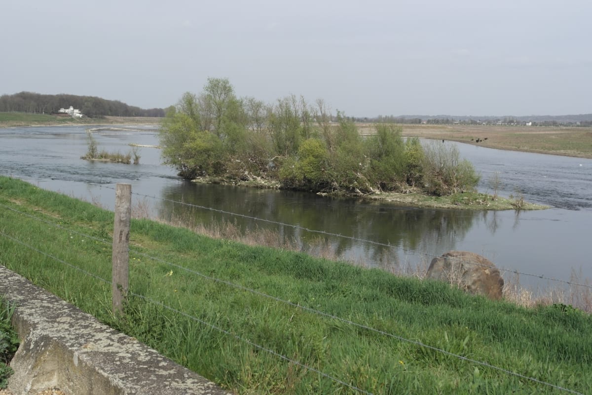 Van Leunen / Venray richting de Maas en de uiterwaarden. - Leunen