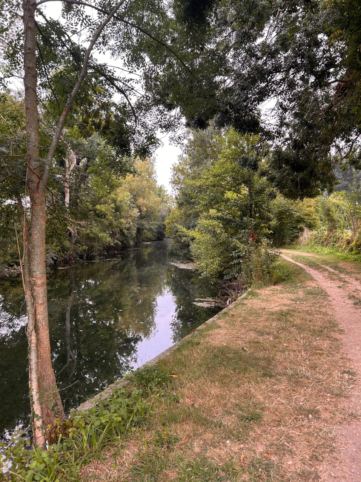 Chemin des promeneurs - Saint-Jean-d'Angély