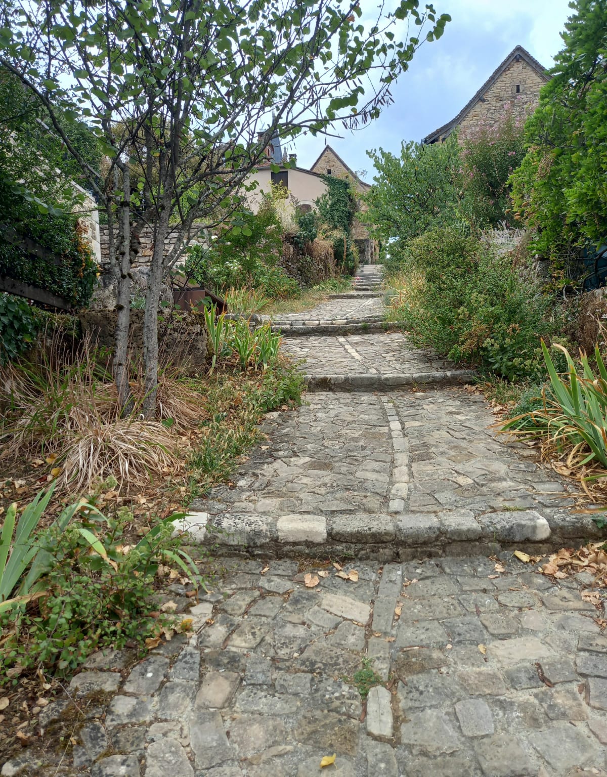 Chemin des mulets - Faycelles