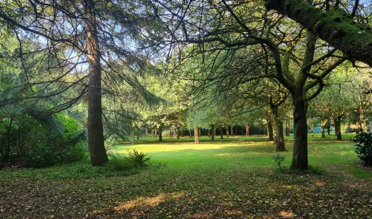 Balade en forêt de Brocéliande - Paimpont