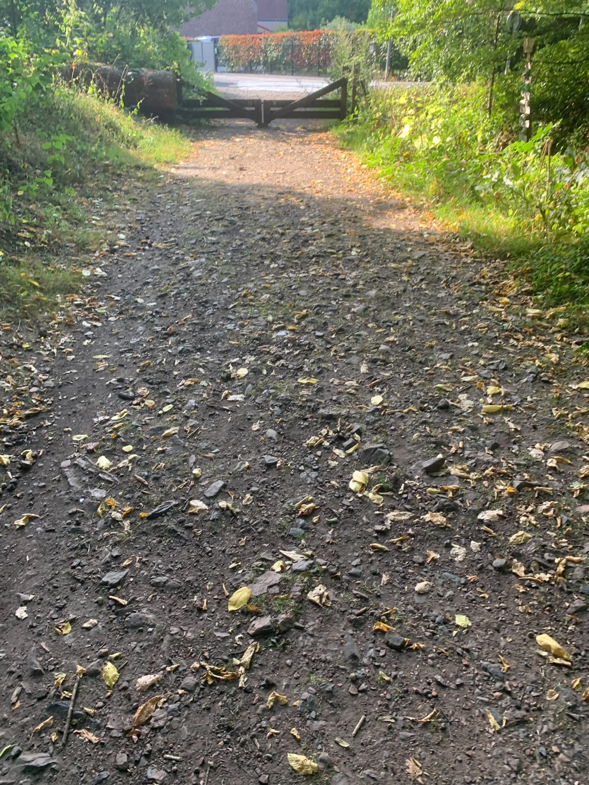 Ostricourt et sa forêt - Ostricourt