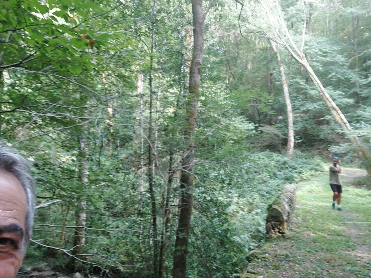 Rando d’Almont-les-Junies bien agréable - Almont-les-Junies