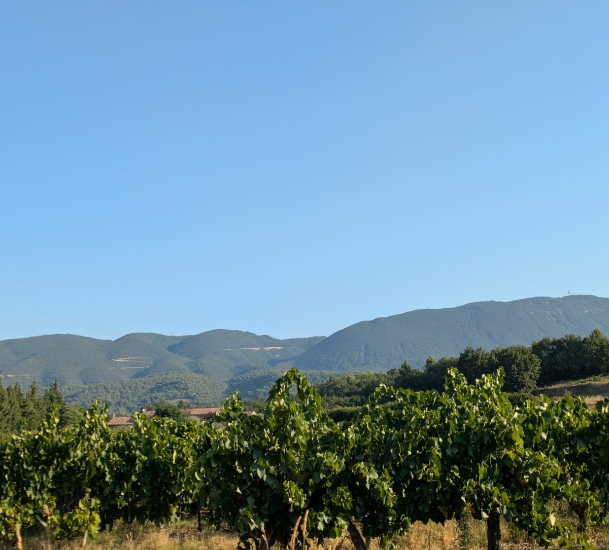 Boucle Pertuis, Cucuron, Lourmarin, Lauris - Pertuis