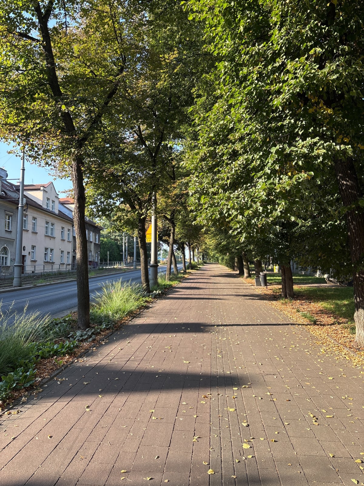 Coś się zmienia Katowice - Katowice