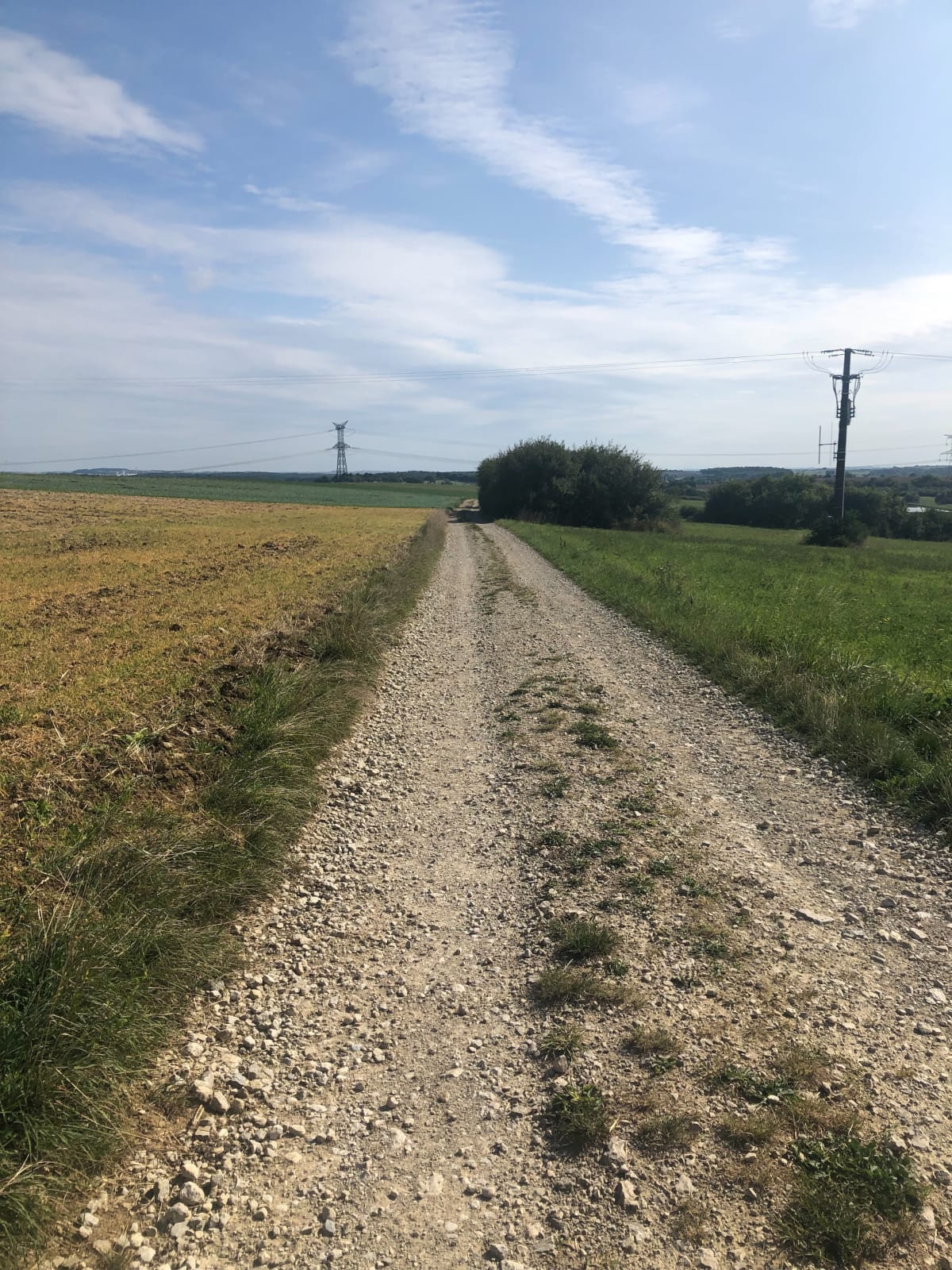 Promenade entre Biding et Vahl-Ebersing - Jérôme