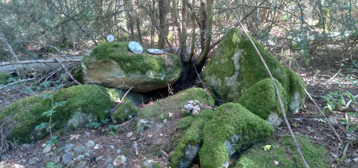 Balade matinale à Saint-Didier-sur-Rochefort - Benjamin