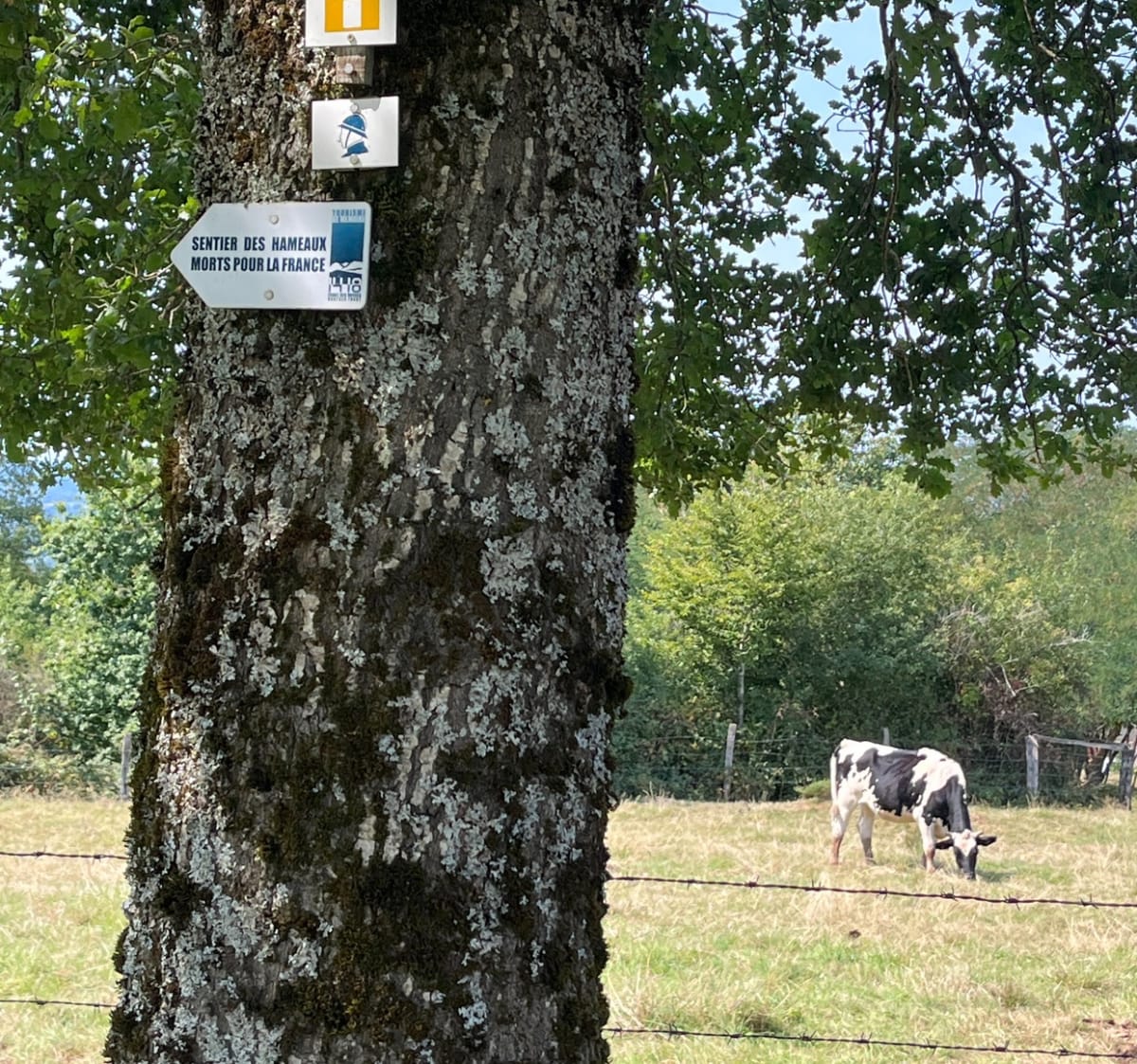 Nécropole de la Fontenelle - Lucille