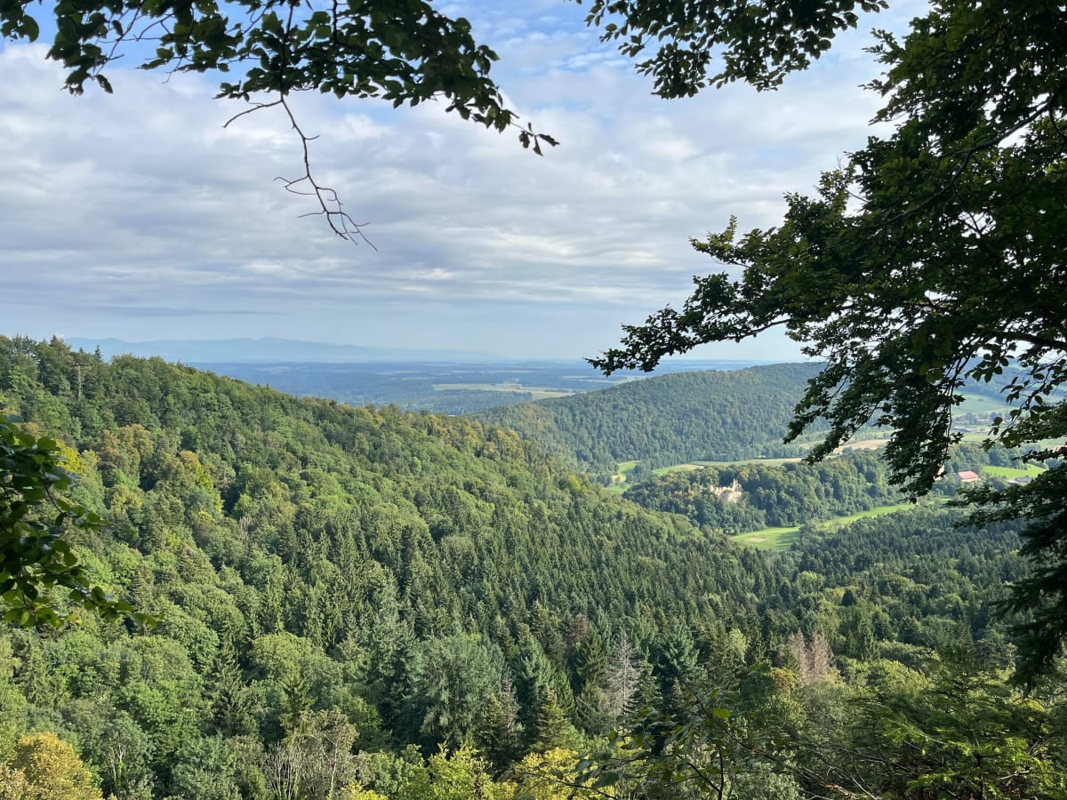 Boucle source de la largue, château du Morimont - Seph