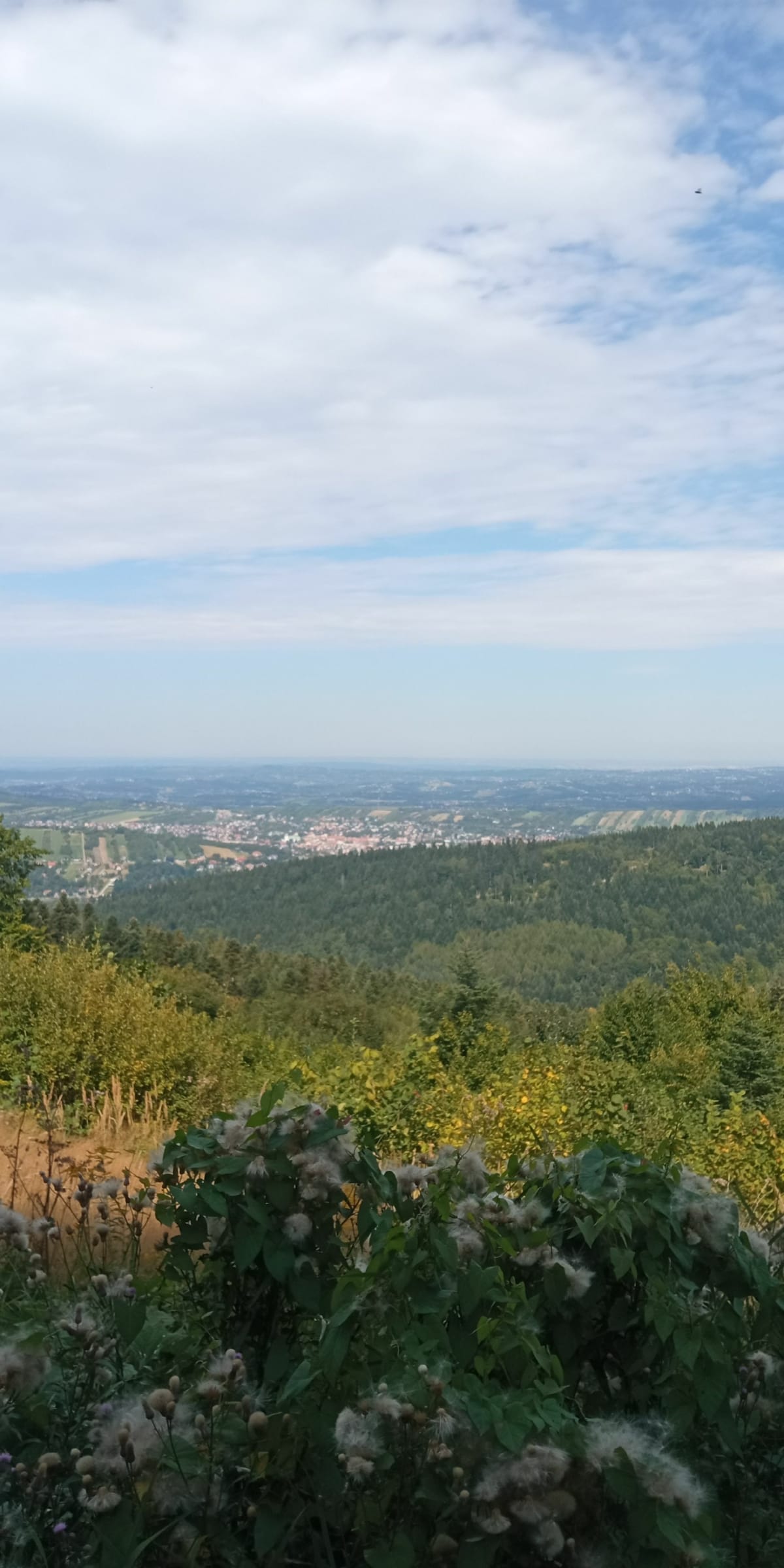 Myślenice Góra Chełm - Łęki