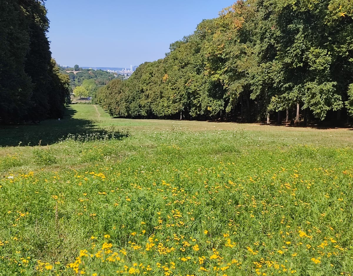 De Clamart vers le bois de Verrières via Meudon-la-Forêt - Christophe
