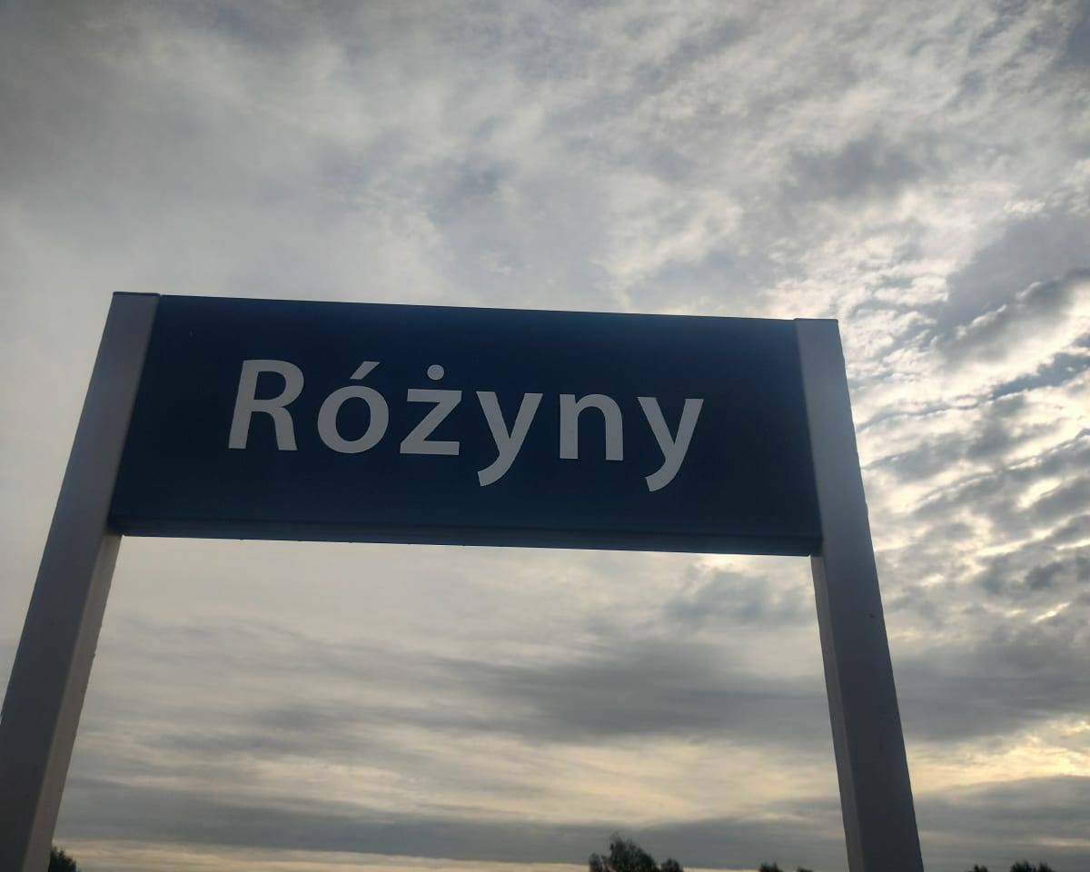 Pola pola tory - Różyny