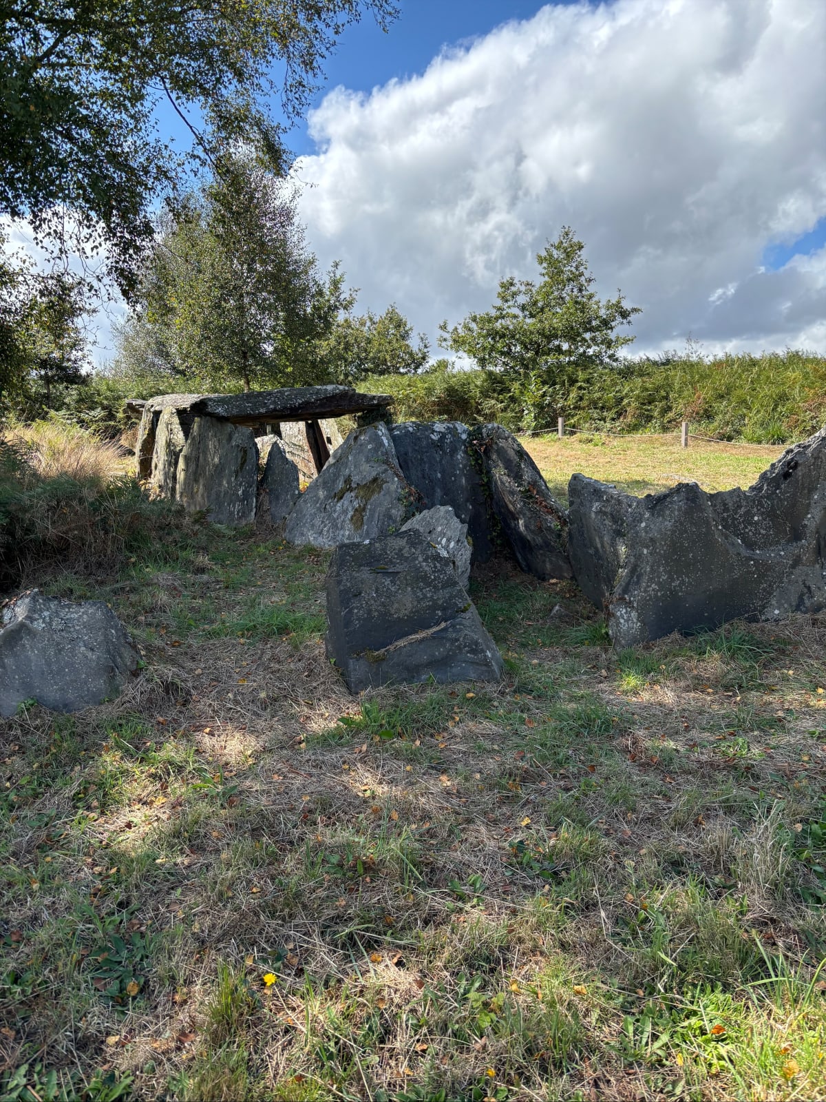 Abbaye de bon repos et découverte des landes de Liscuis - JOEL