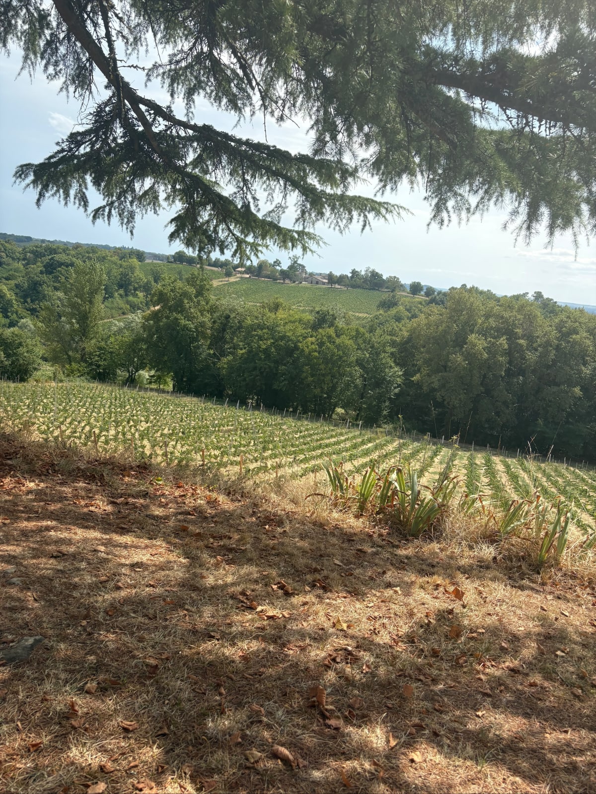 Balade en Gravel depuis Béguey - Béguey