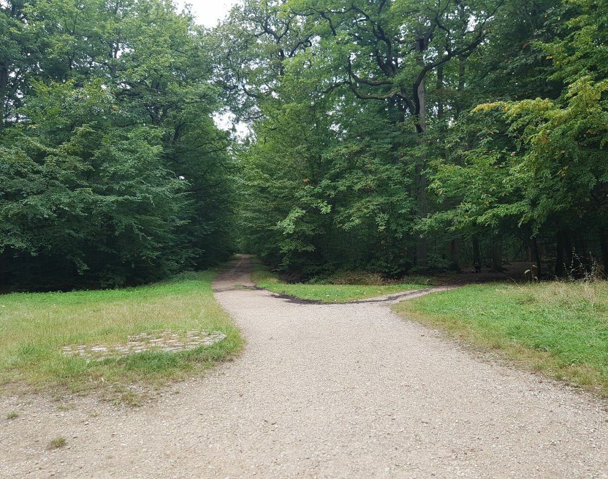 Bois de Sainte Apoline, par Etang de Plaisir - Magali