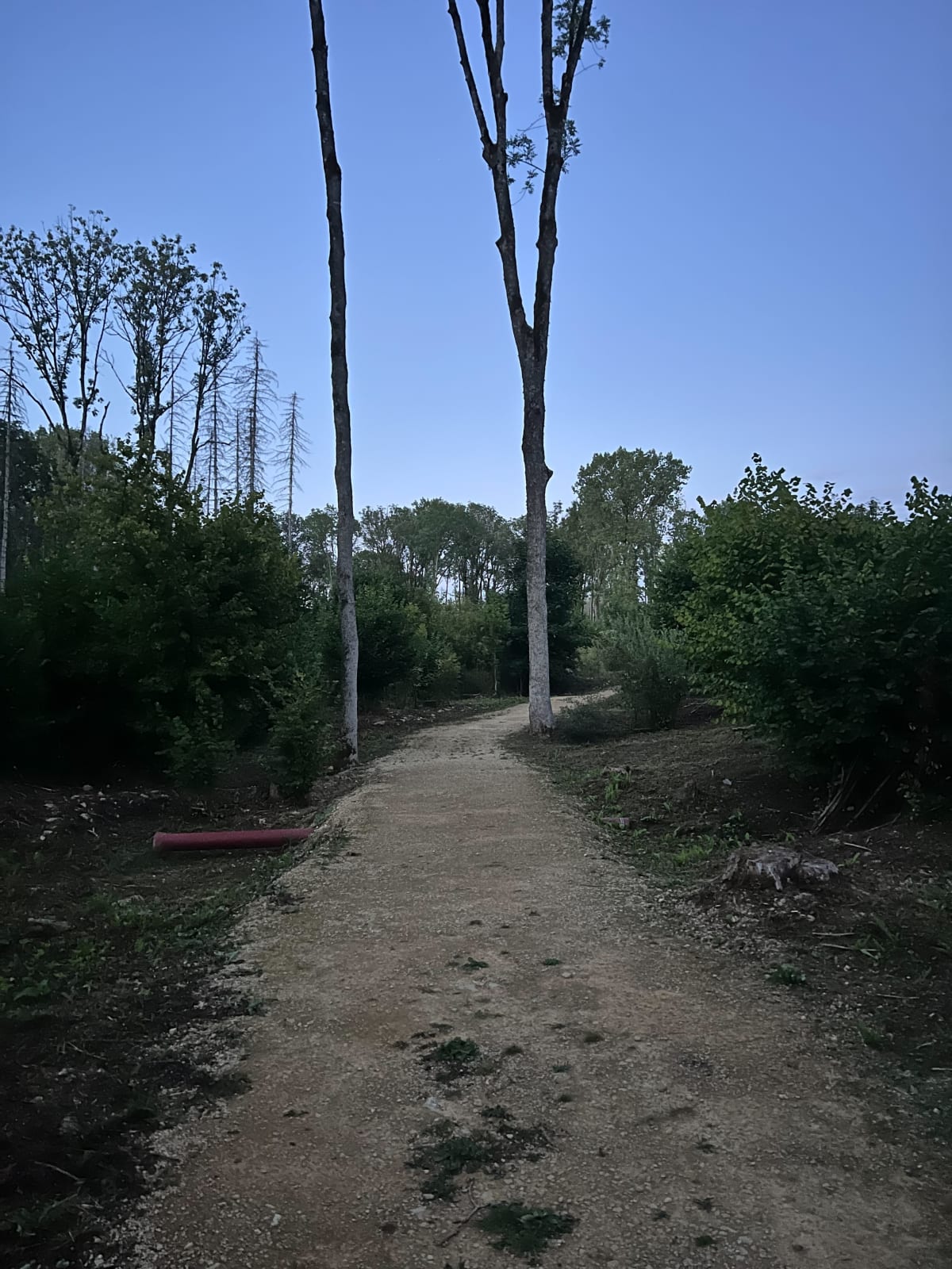 Sentier Fort-De-Vaux - Faouzane