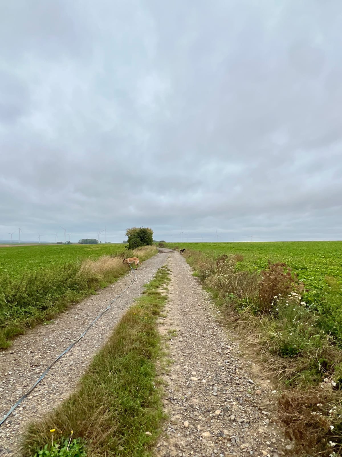 Balade à travers champs autour de Nouvion-le-Comte - Renansart
