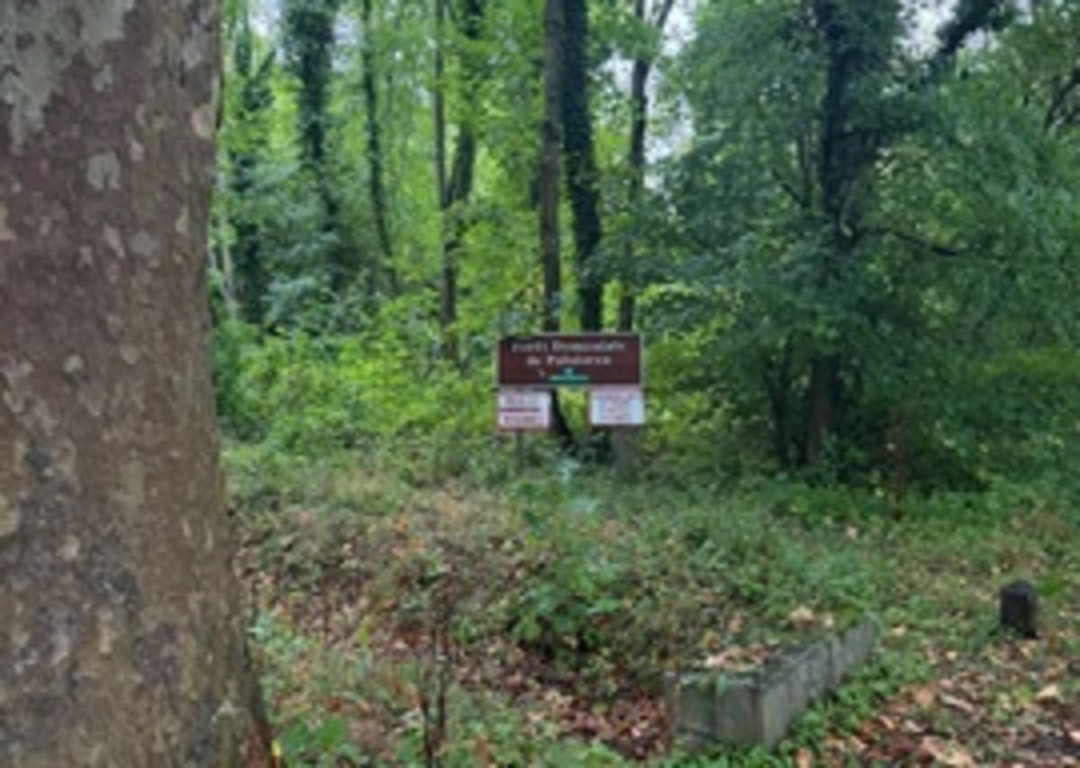 Randonnée autour de Saint-Armel - Saint-Armel