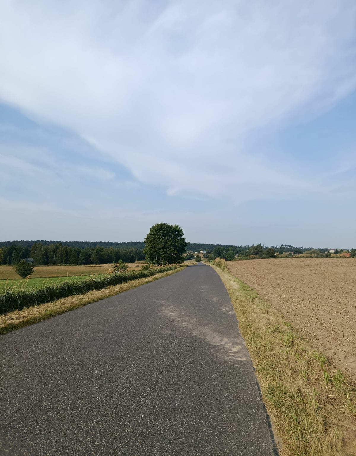 CBR- NNM ( Parteczyny, Zbiczno, Mieliwo, Koń, Niskie Brodno) - Brodnica