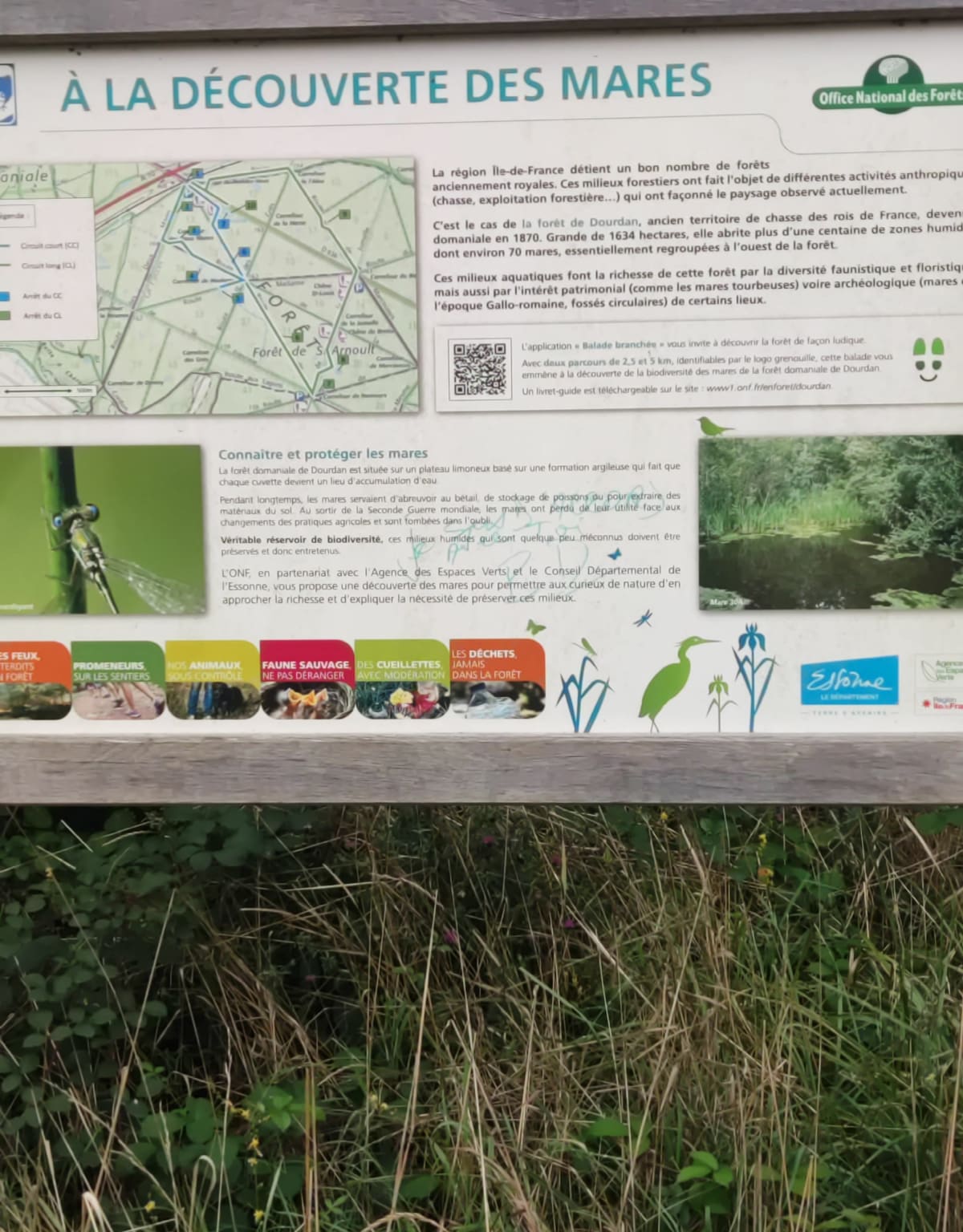 Promenade en forêt de Dourdan par Nemours - Dourdan