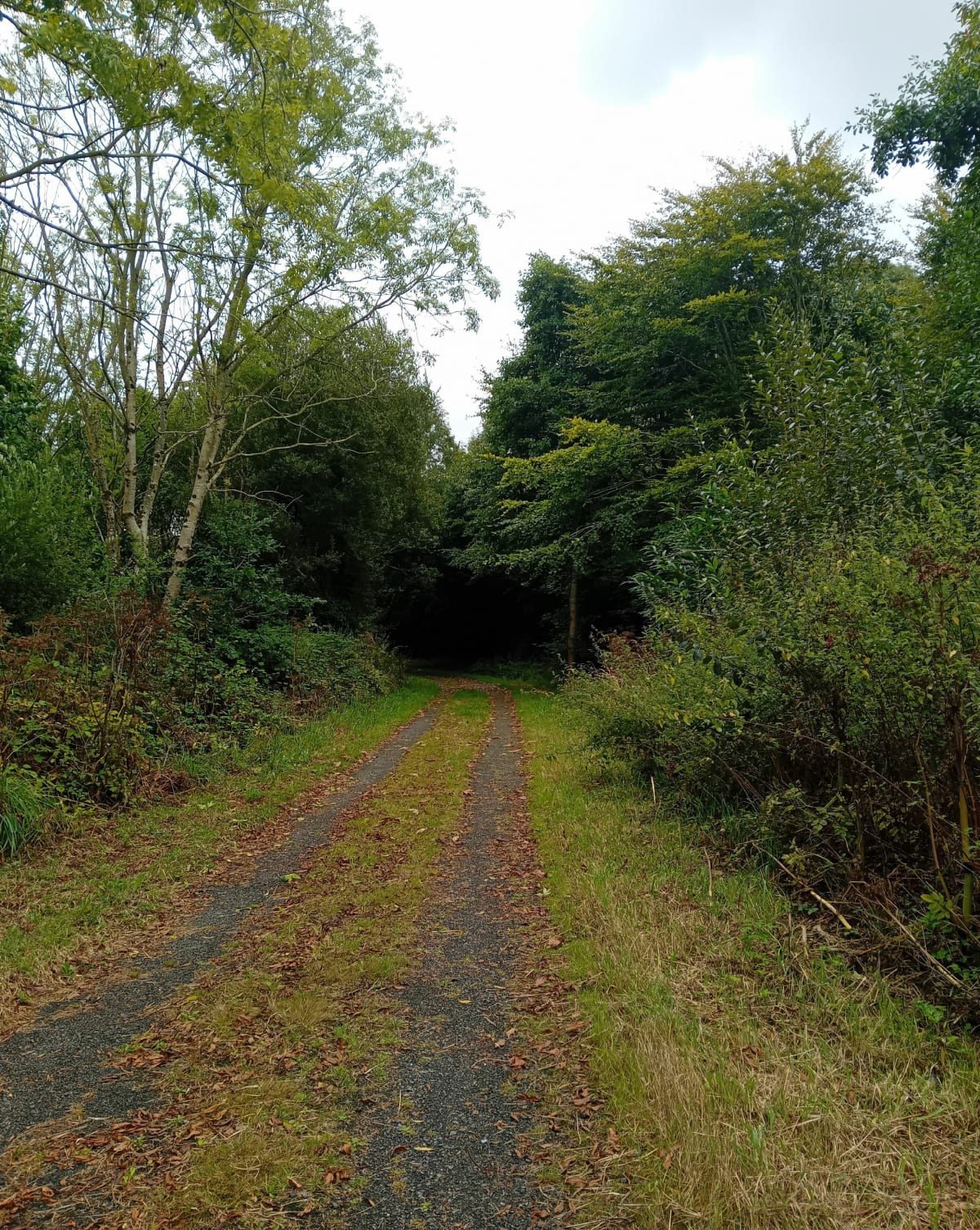 Chemins autour de Bourg-Blanc - CLAUDINE