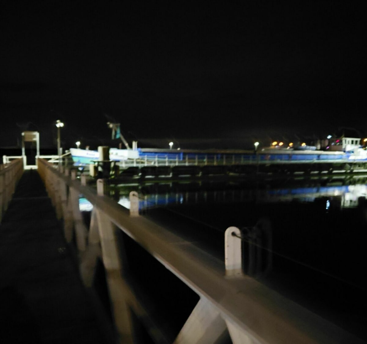 Rondje Batavia stad - Lelystad