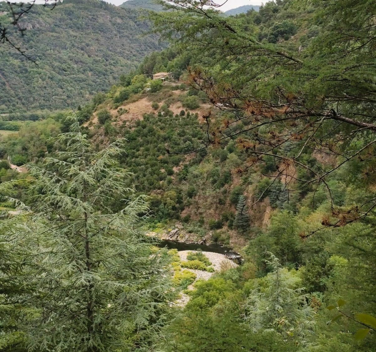 Les Plantas à Saint Vincent de durfort - Arnaud