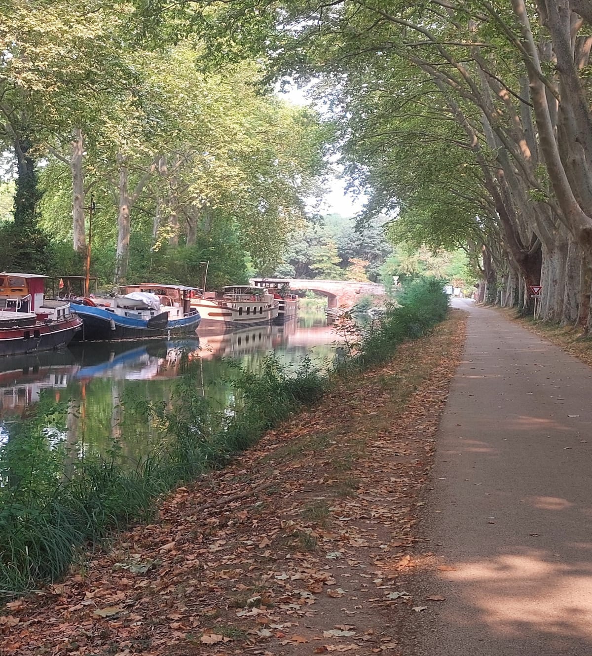 Longue balade le long du canal du midi - Bastien 