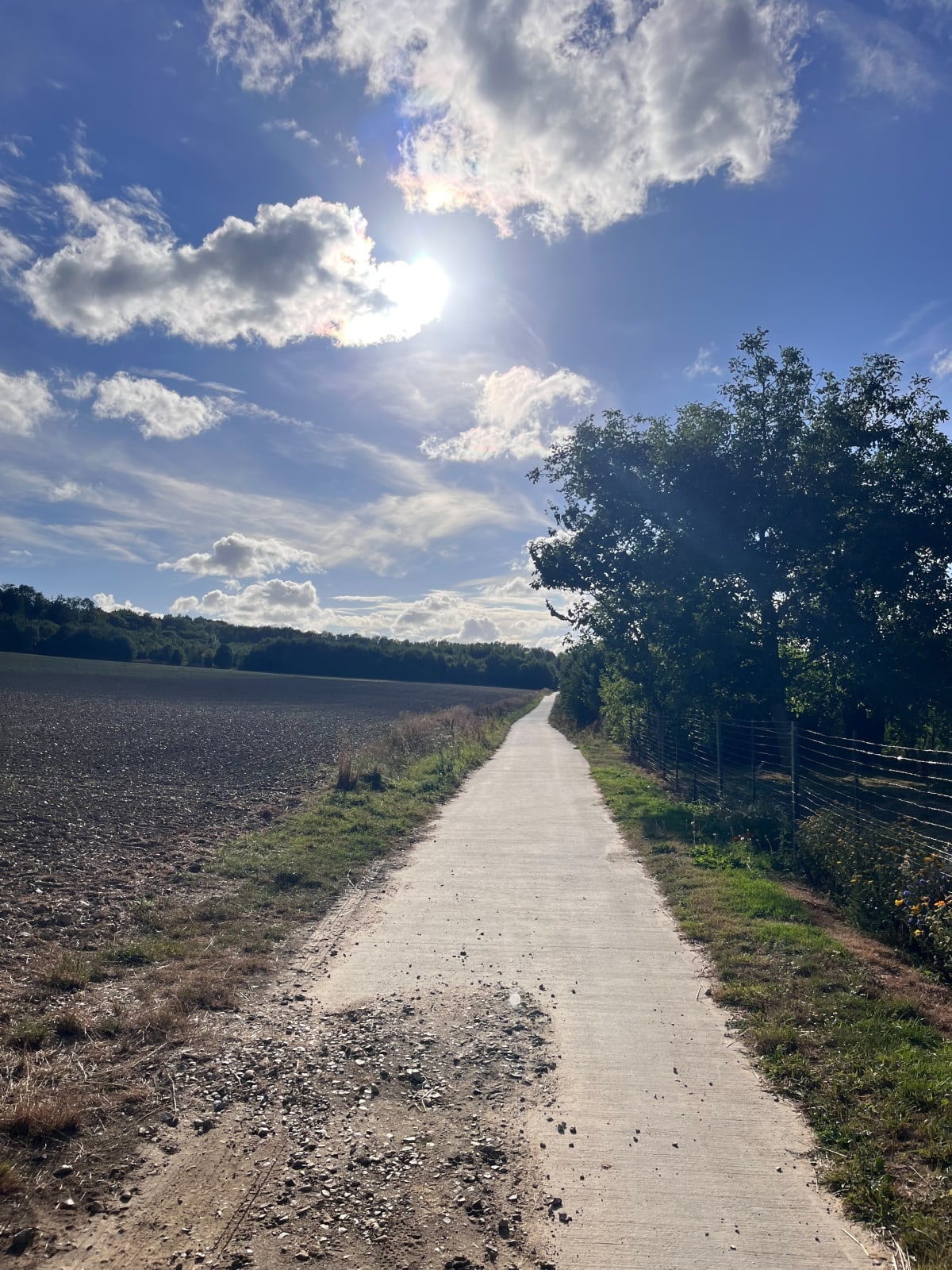 Découverte des sentiers autour de la cimenterie de Lumbres - Doug