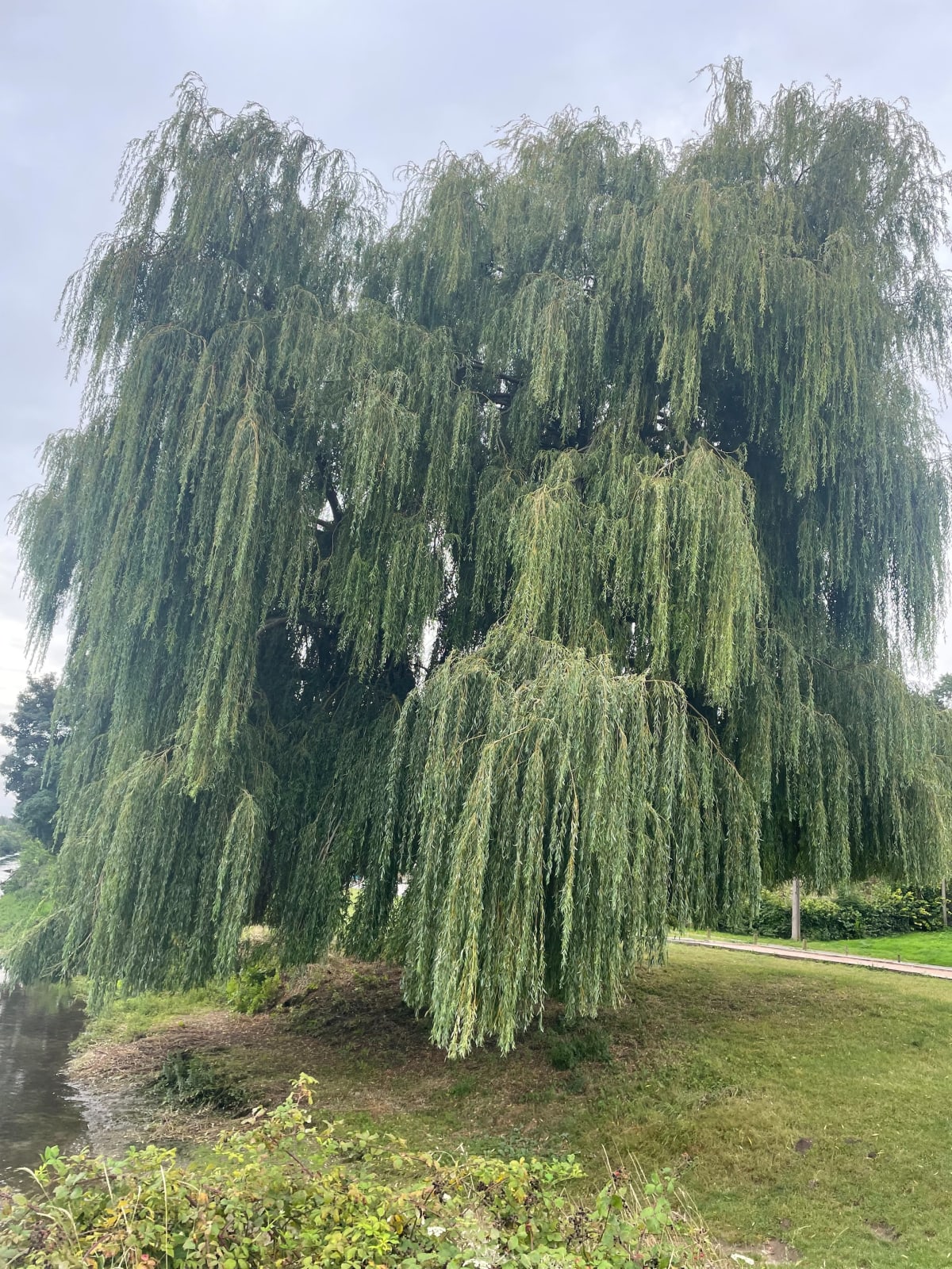 Balade à Saint-Valéry - Carole