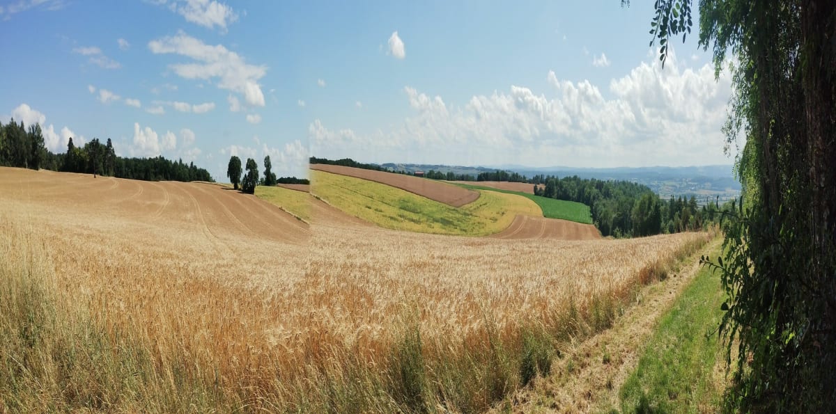La bas derrière - Mont-Saint-Jean