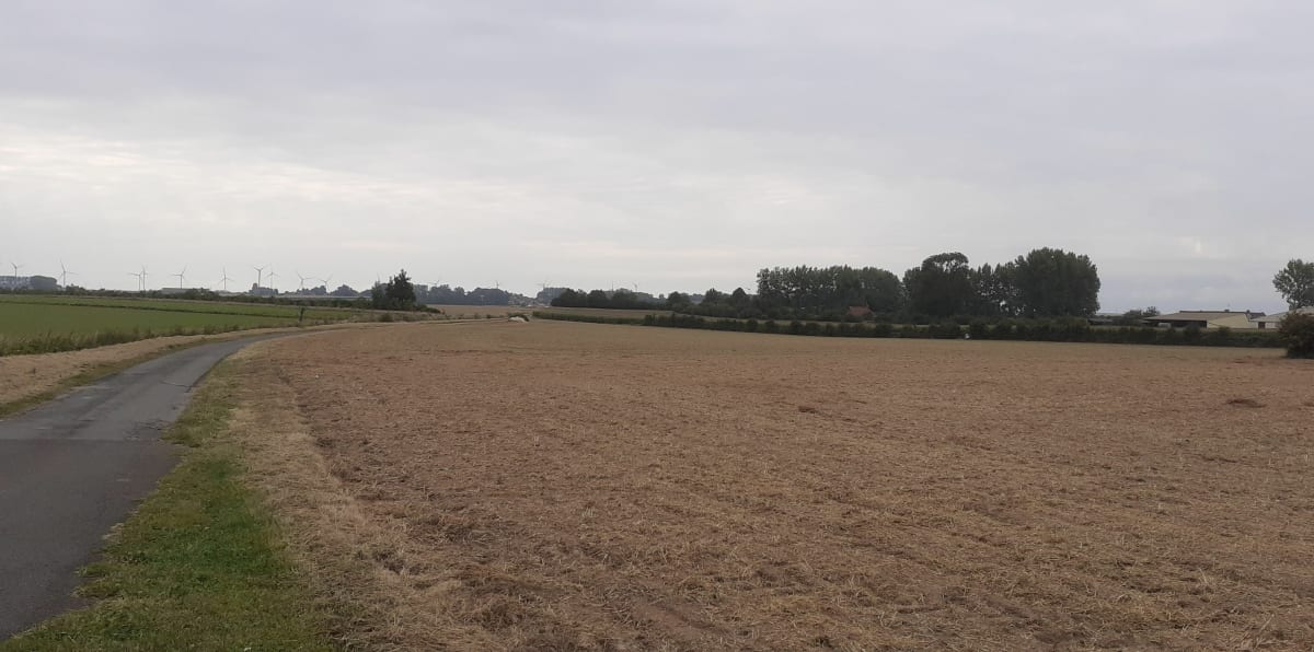 Les vignes de Maresquel-Ecquemicourt - Stephanie