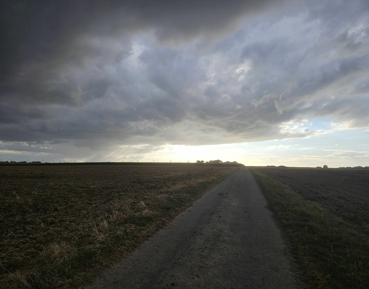 Promenade champs entre Franleu et Ochancourt - Inès