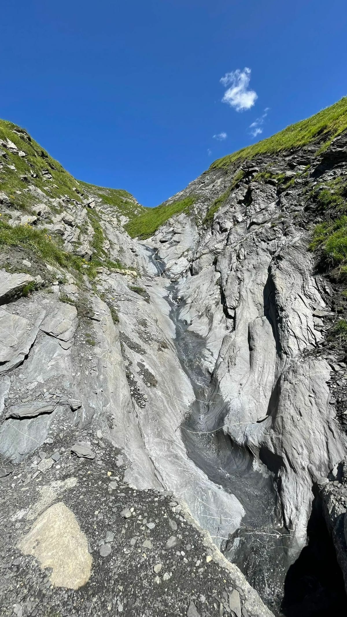 Montée vers le col du Petit Saint-Bernard - Olivier