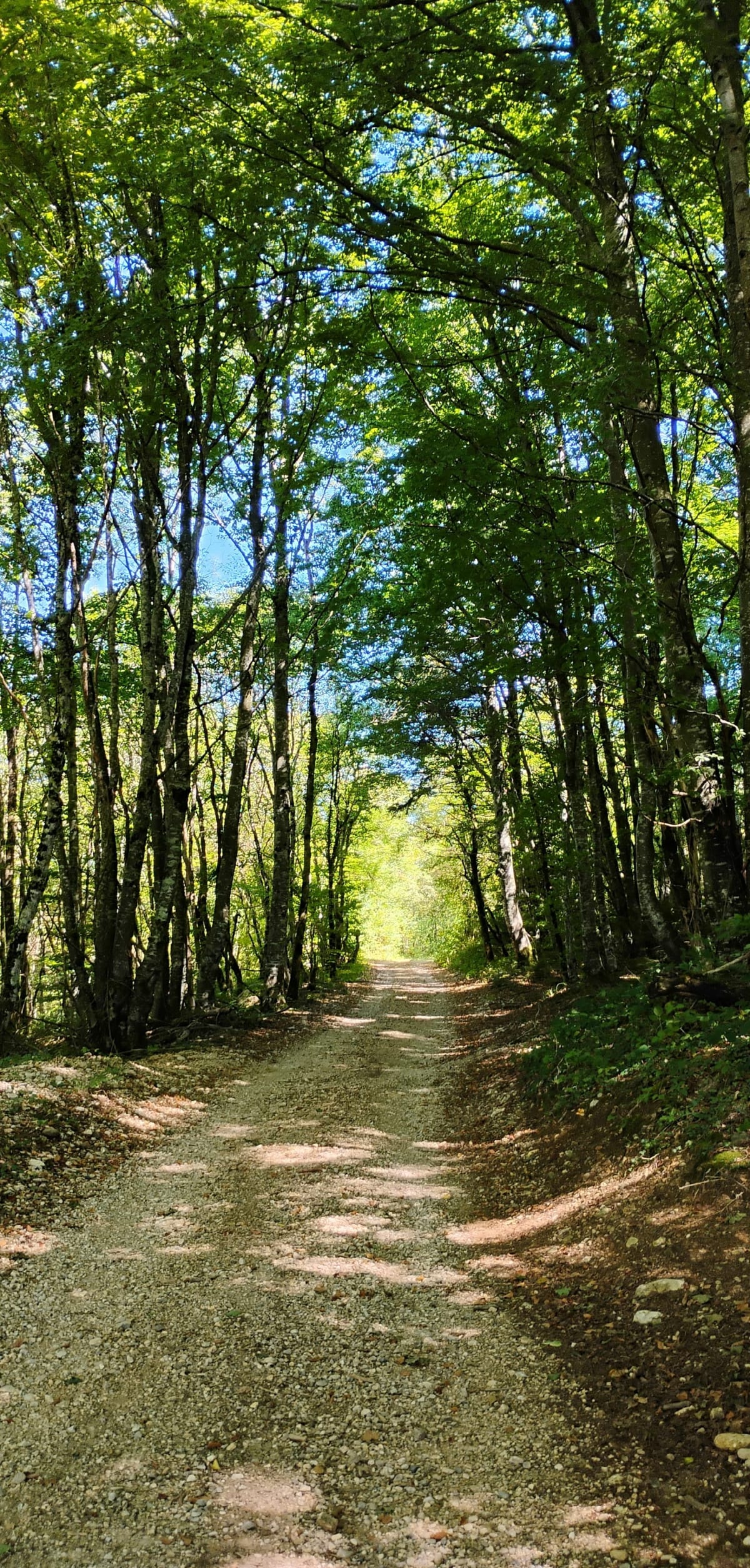Plateau des Charmilles - Aymeric