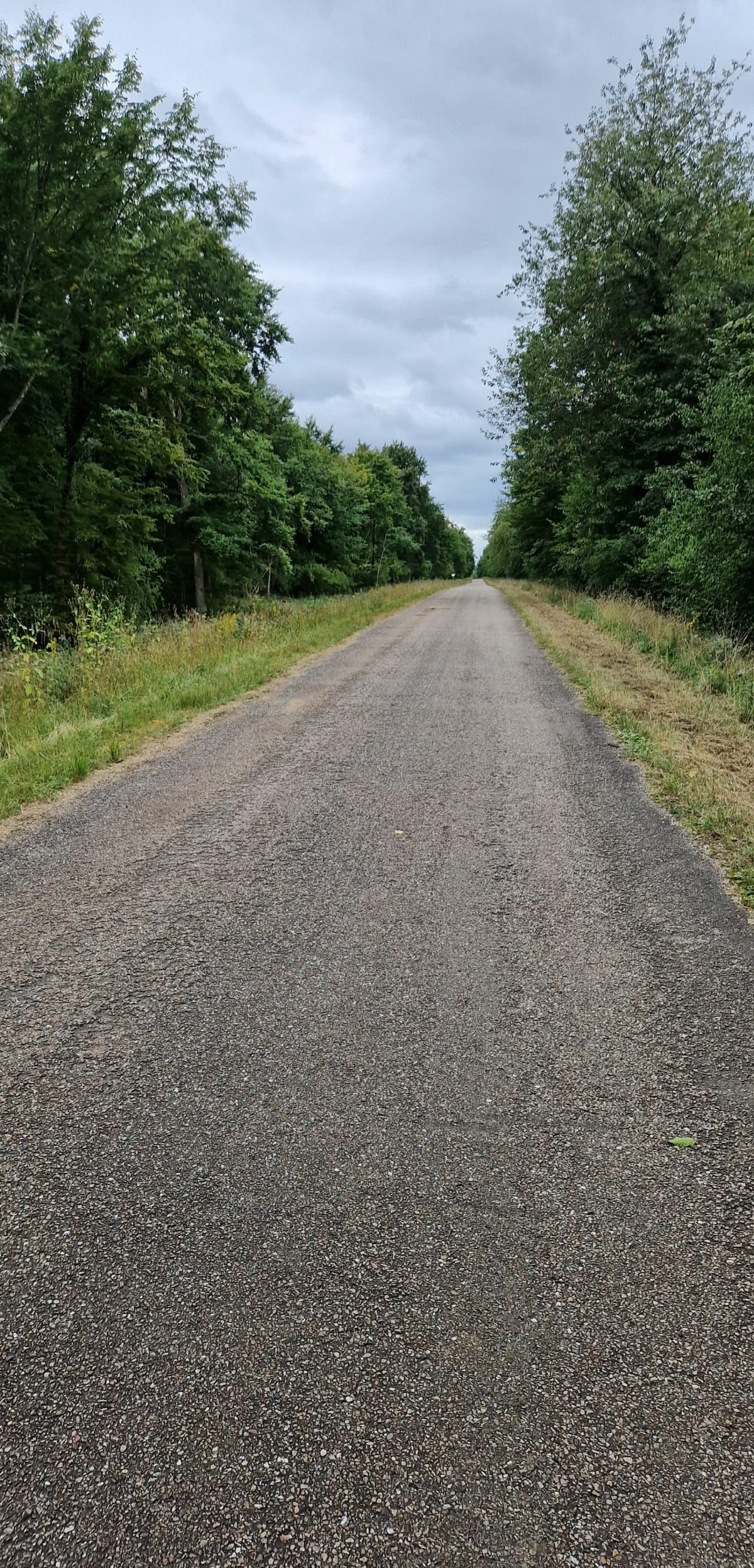 Plateau des  Rays Frouard/ Parc de Haie. - Christel