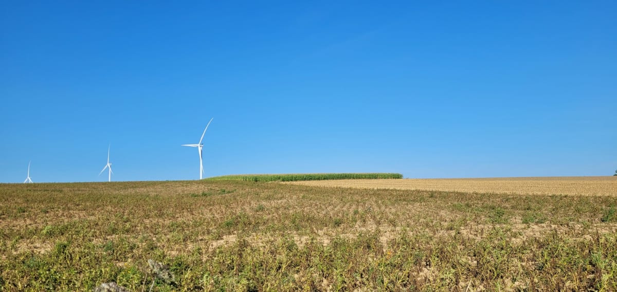 Chemin des Éoliennes entre Busigny et Honnechy - Laëtitia