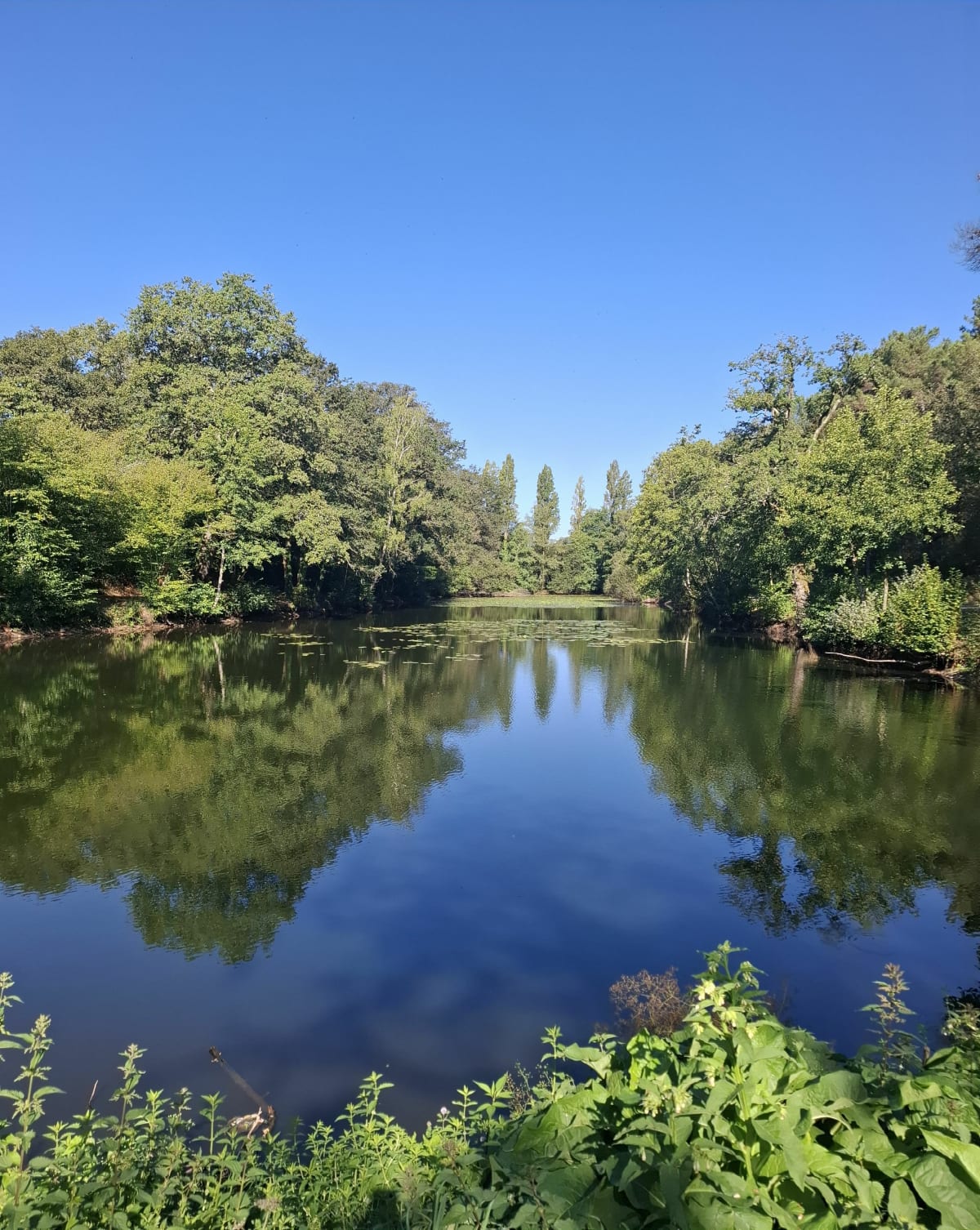 L'étang de la Vallée - Saint-Jacut-les-Pins
