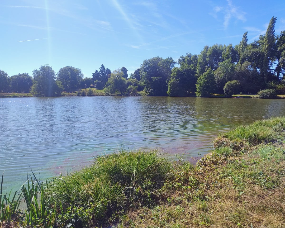 Campagne creusoise - Pat