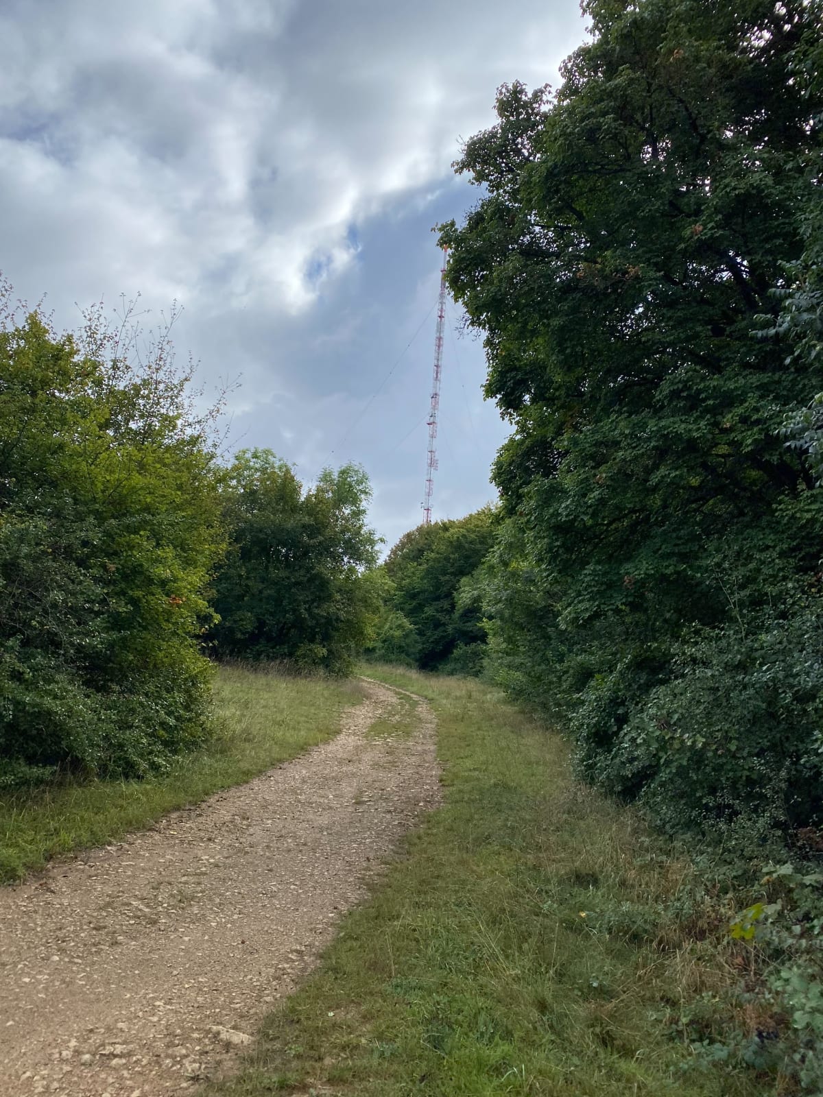 Plateau Malzeville et Bois de Flavemont - Patrice