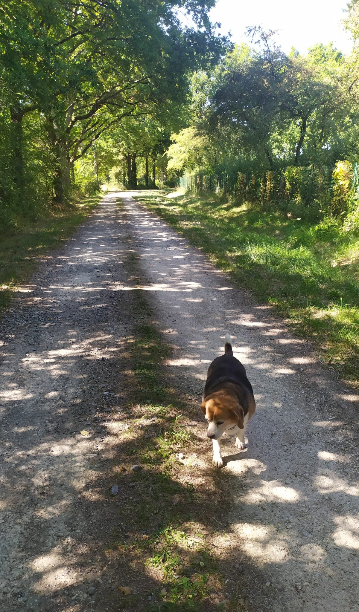20km autour de Luynes - Xavier