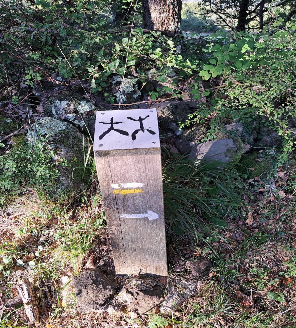 Menhir de Peyregrosse - Saint-Laurent-sous-Coiron