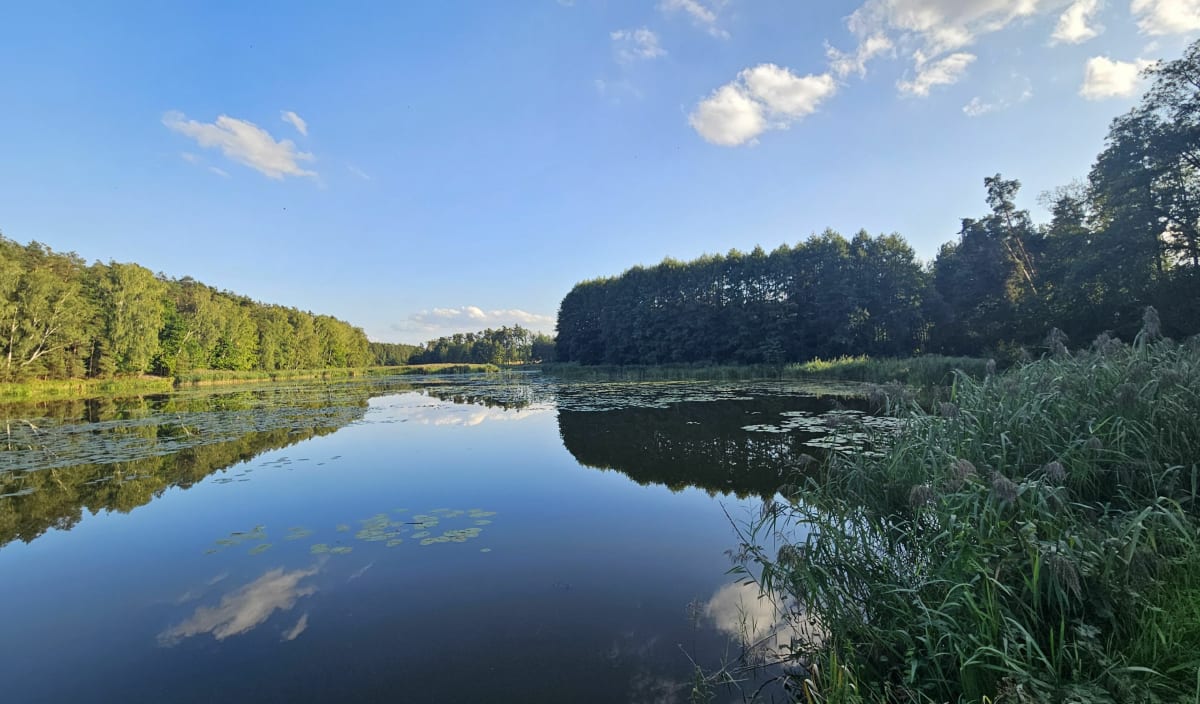 Leśny zapach, i Park Krajobrazowy - Marcin