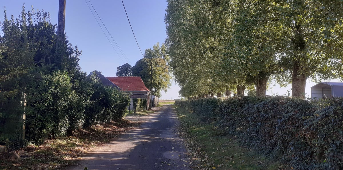 Le validons, le bois joli à Campagne les Hesdin - Stephanie