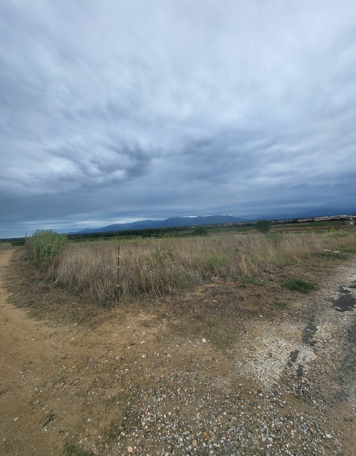 Pollestres, Catalunya, Porta d’Espanya, Villeneuve-de-la-Raho - Esteban