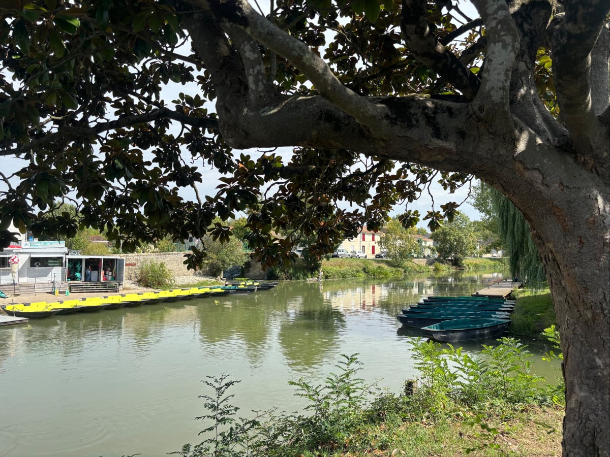 Damvix - Canal du mignon -Damvix - Antony