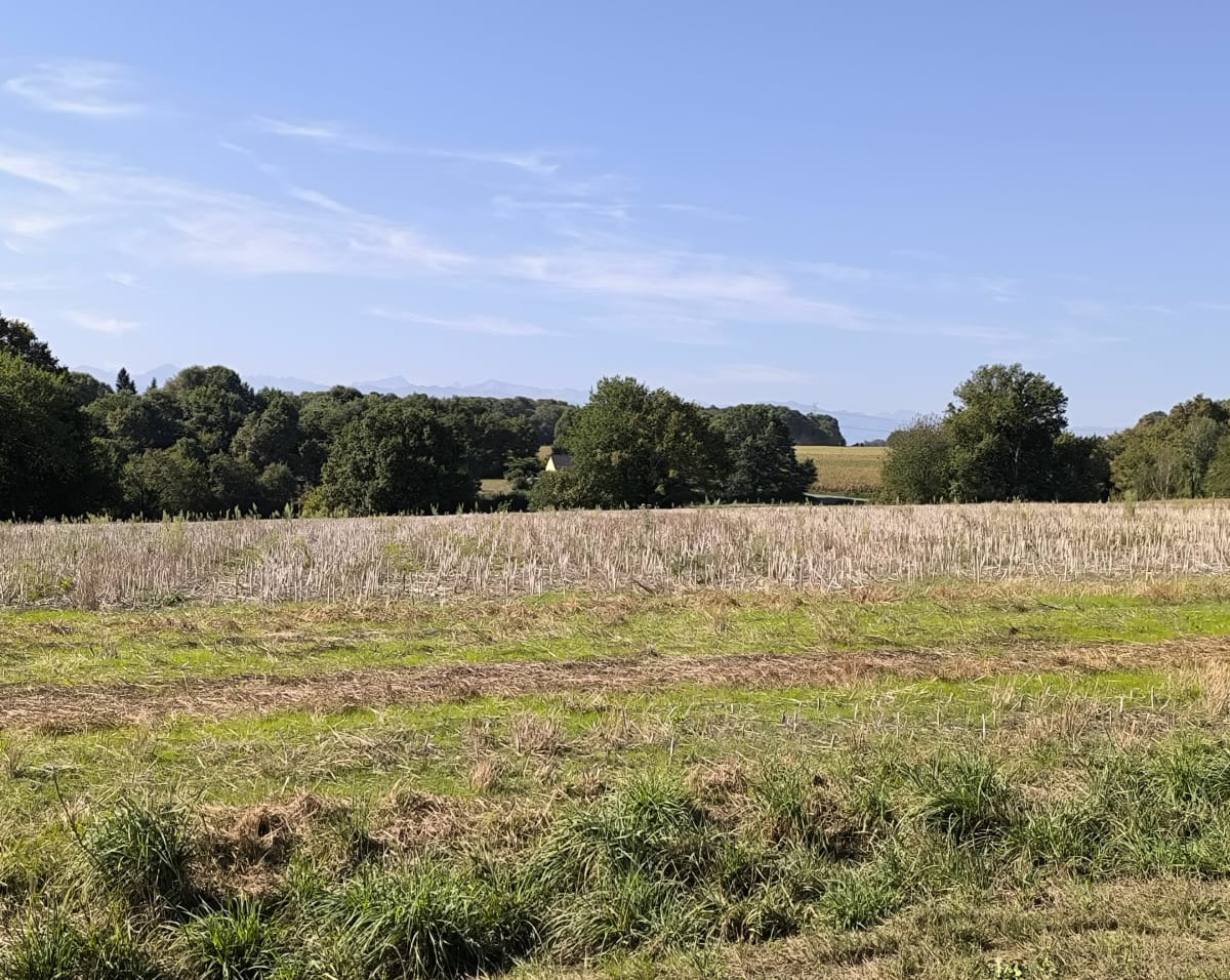Casteide-Doat et ses amis alentours - Corinne