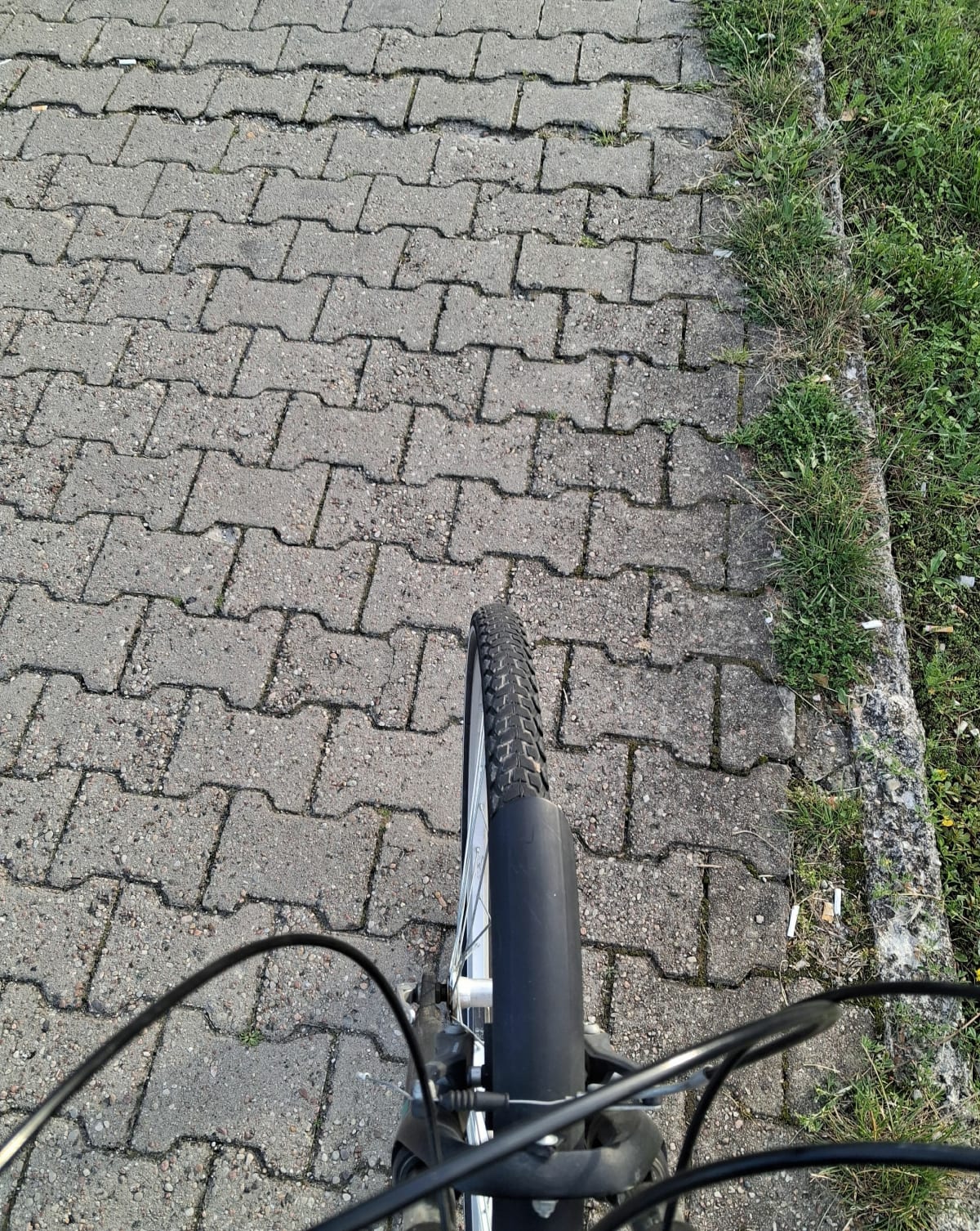 Kółko na 30min rowerem - Ewa