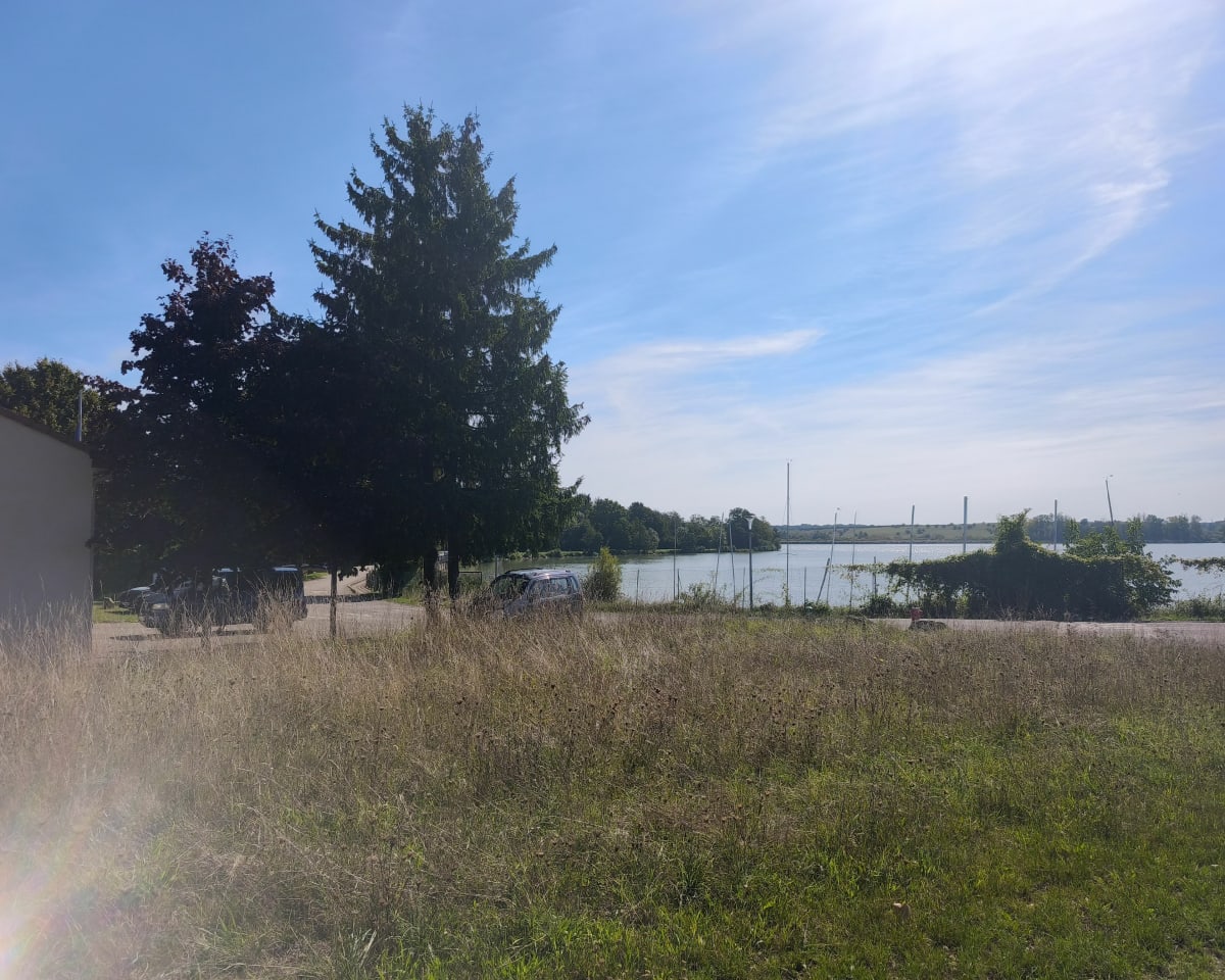 Champs et bois : Harprich-Mutche-Morhange-Vallerange - Sophie