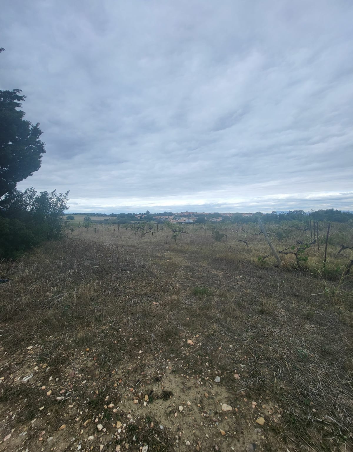 Pollestres, Nyls, Ponteilla, Canohès, Toulouges, Perpignan - Esteban
